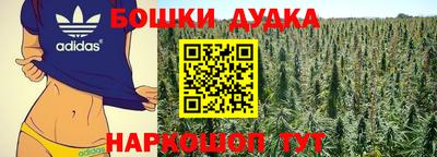 трава Партизанск