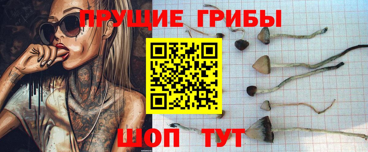 Псилоцибиновые грибы Magic Shrooms Обнинск